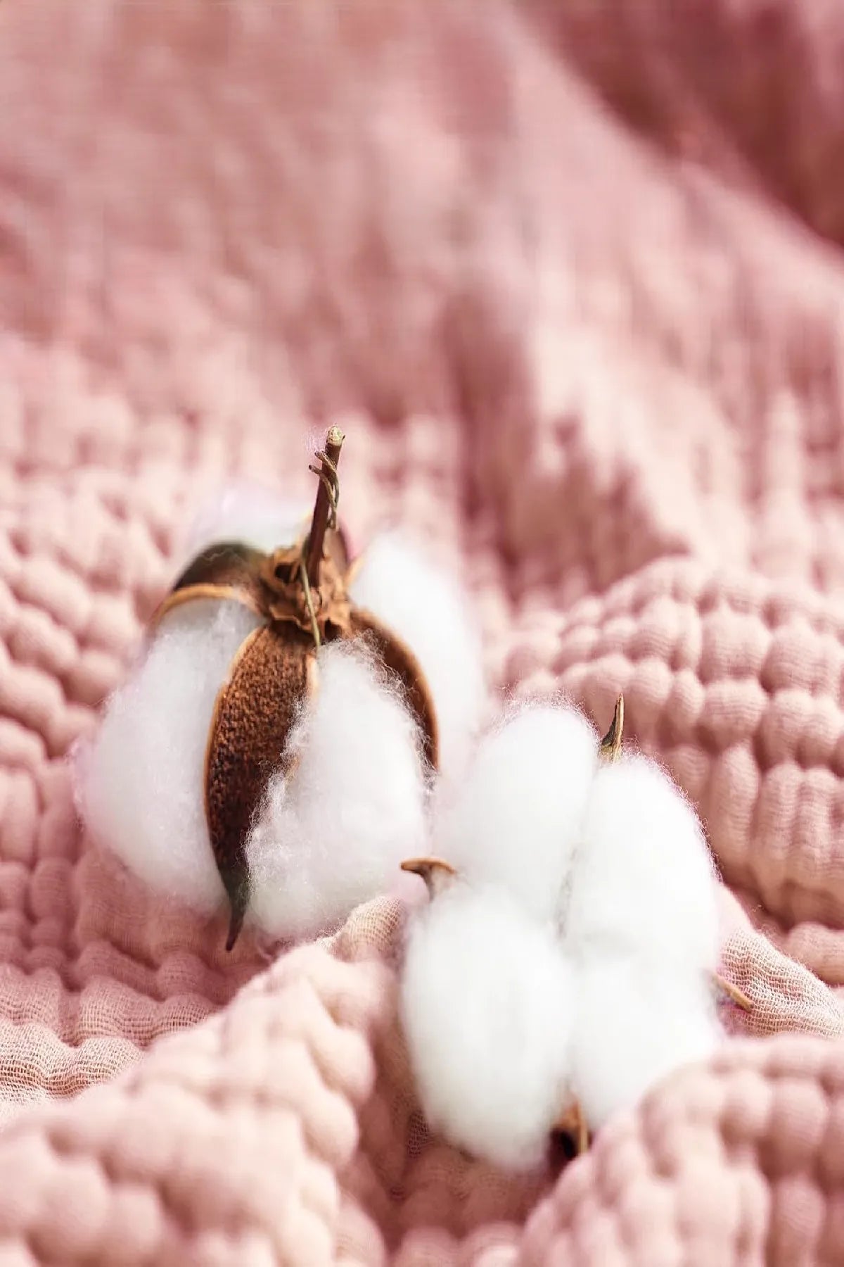 4 Katlı Müslin Bebek Havlusu – %100 Pamuk, Yumuşak ve Emici, Banyo & Plaj Kullanımına Uygun